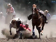 Canterbury Rodeo 2013